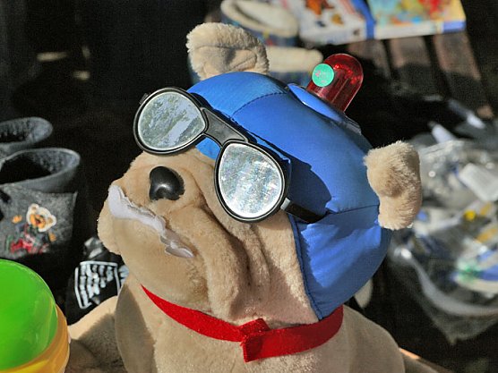 Unverk&auml;uflich? (Foto: nnz)