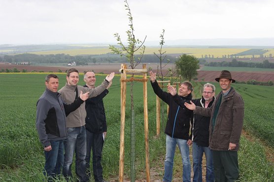 Gepflanzt (Foto: Stadtverwaltung Nordhausen)