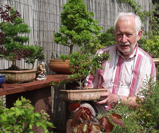Im Wald exotischer Kostbarkeiten (Foto: K. Frank)