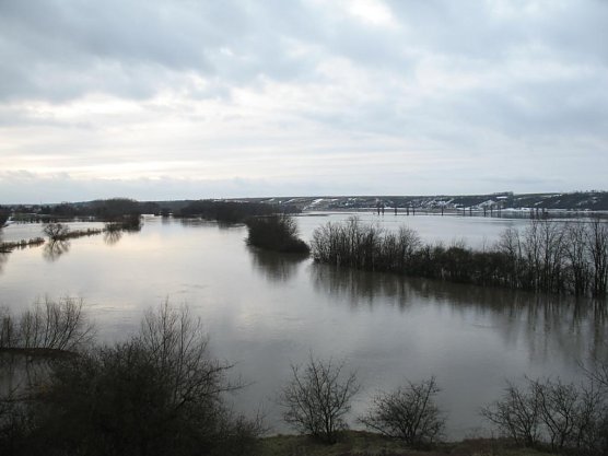 Saale-Hochwasser bei Halle (Foto: B. Schwarzberg)