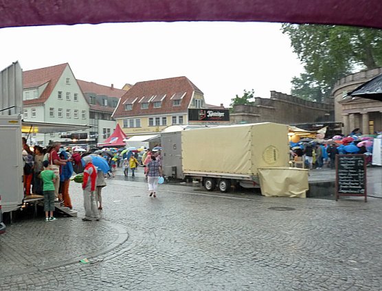Im Regen versunken (Foto: Karl-Heinz Herrmann)