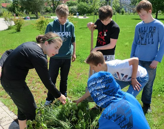 Gepflanzt (Foto: privat) Gepflanzt (Foto: privat)