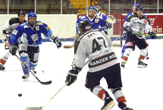 Die W&ouml;lfe in "Aktion" (Foto: Koch)