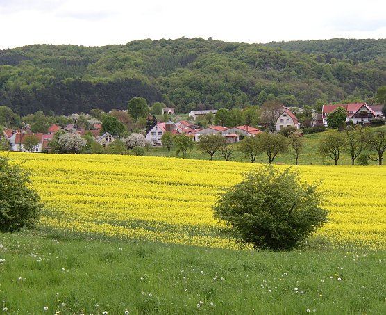 Blick auf Steigerthal (Foto: I. Bergmann|Stadtverwaltung Nordhausen)