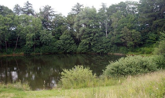 Der Fundort (Foto: privat)