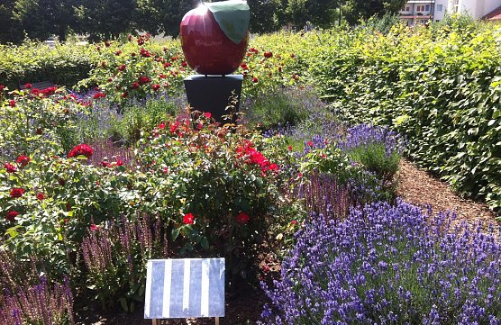 Zerstört (Foto: privat) Zerstört (Foto: privat)