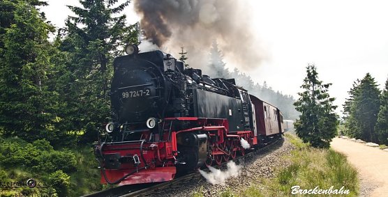 Der Berg ruft (Foto: Michael Caspari (blitzlicht-nordhausen.de))