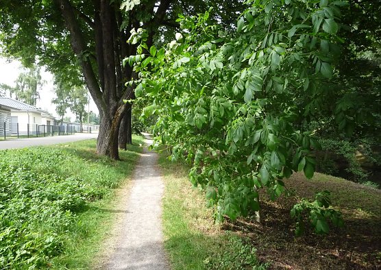 &Uuml;berhang (Foto: nnz)