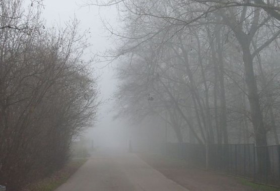 Herbstwetter (Foto: nnz) Herbstwetter (Foto: nnz)
