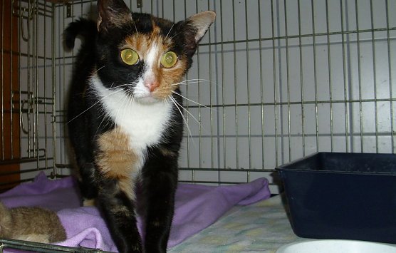 Anja (Foto: C. Knust) Anja (Foto: C. Knust)