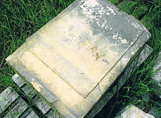 Grabstein der Familie F&ouml;rstemann (Foto: Archiv Kneffel)