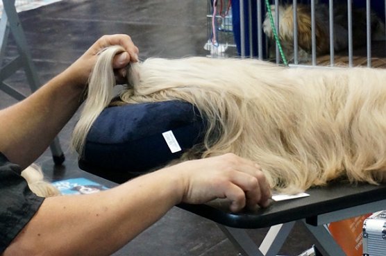 Bin ich sch&ouml;n? (Foto: S. Witzel)