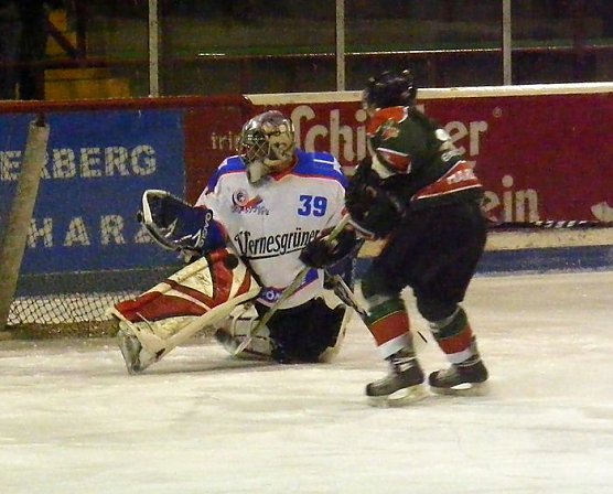 Wölfe im Angriff (Foto: Koch) Wölfe im Angriff (Foto: Koch)