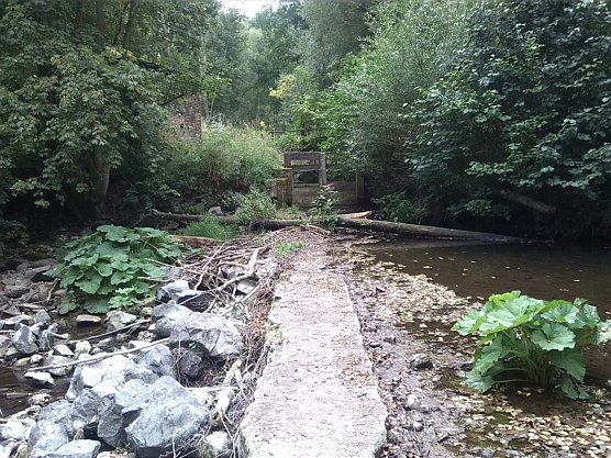 Exkursion entlang der Zorge (Foto: AHA) Exkursion entlang der Zorge (Foto: AHA)