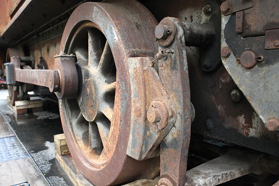 Zur&uuml;ck in der Heimat (Foto: nnz)