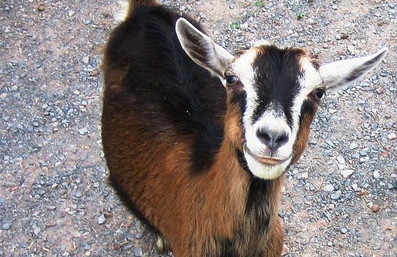 Willkommen im Schullandheim (Foto: privat)