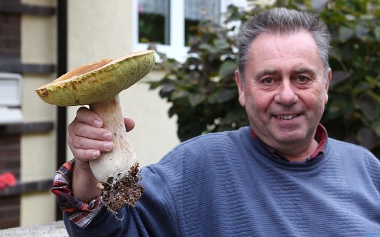 Bringt knapp ein Kilo auf die Waage - der Steinpilz (Foto: nnz)