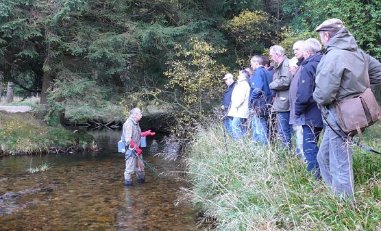 Erläuterungen an der Kalten Bode (Foto: nnz) Erläuterungen an der Kalten Bode (Foto: nnz)