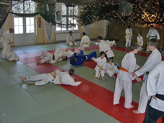 Ehrenspange vom Landessportbund (Foto: Kampfkunstschule Artern) Ehrenspange vom Landessportbund (Foto: Kampfkunstschule Artern)