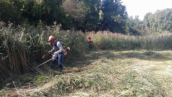 Projekte f&uuml;r den Naturschutz (Foto: Forstamt)
