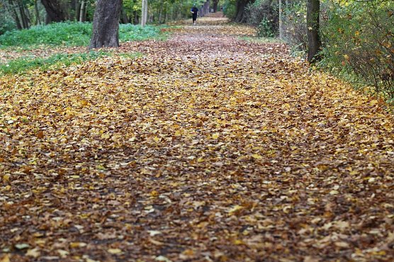 Nordh&auml;user Stadtpark (Foto: nnz)