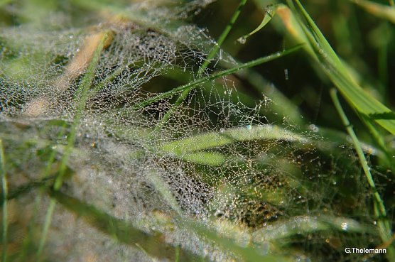 Wetter-Bild (Foto: Gernot Thelemann)