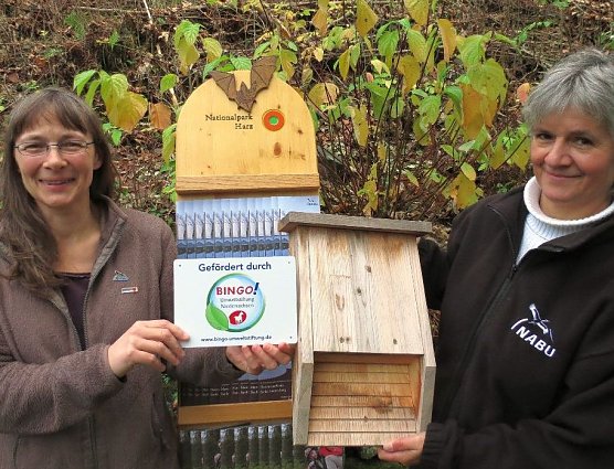 Feldermausprojekt (Foto: W. Wimmer)