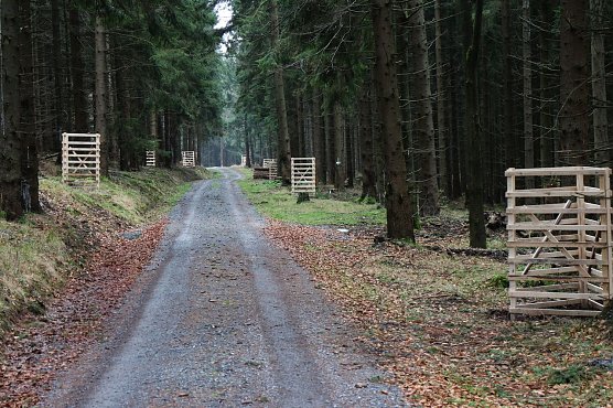 300 Eichen werden hier bis 2015 gepflanzt (Foto: nnz)