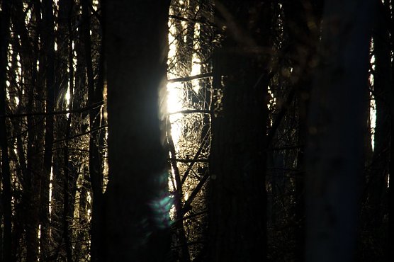 Das Wetter-Bild (Foto: Gernot Thelemann)