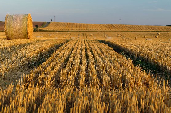 Wetter-Bild (Foto: Gernot Thelemann) Wetter-Bild (Foto: Gernot Thelemann)