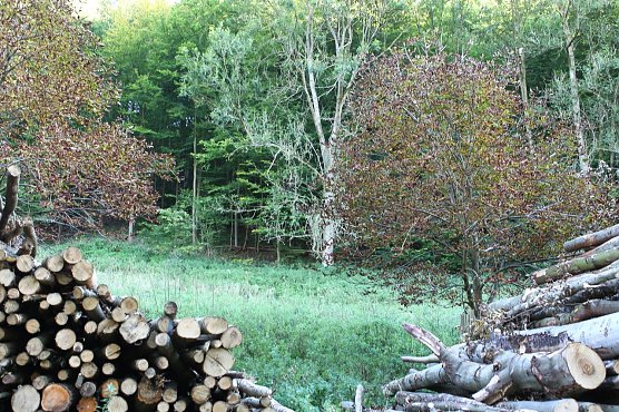 Das ist in der k&uuml;nftige Kernzone nicht mehr m&ouml;glich (Foto: nnz)