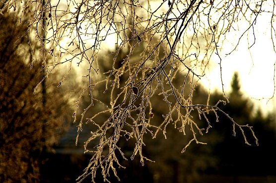 Wetter-Bild (Foto: Gernot Thelemann) Wetter-Bild (Foto: Gernot Thelemann)