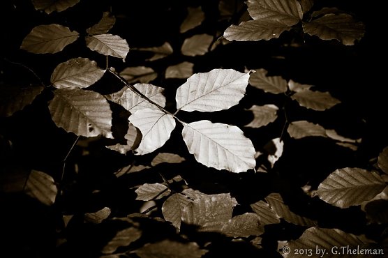 Wetter-Bild (Foto: Gernot Thelemann) Wetter-Bild (Foto: Gernot Thelemann)