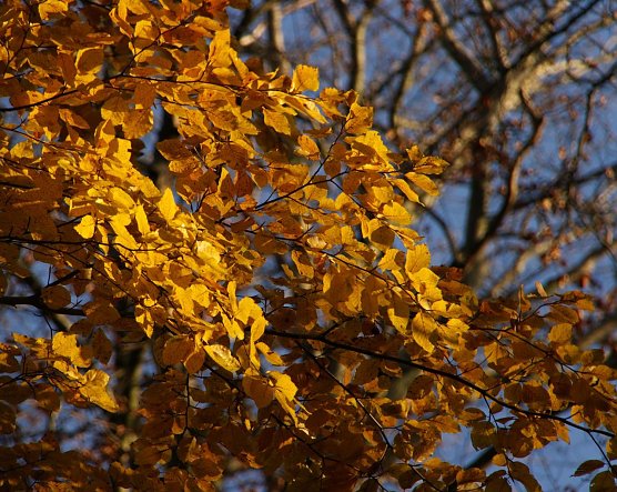Das etwas andere Wetter-Bild (Foto: Gernot Thelemann) Das etwas andere Wetter-Bild (Foto: Gernot Thelemann)