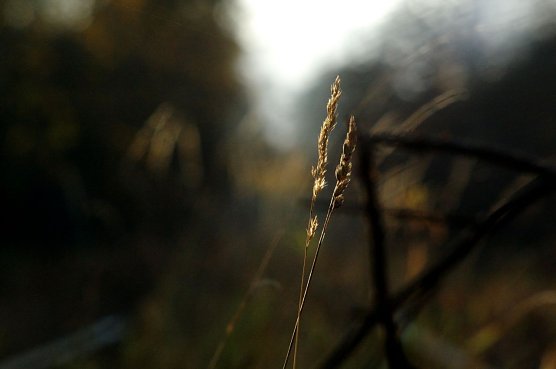 Wetterbild (Foto: Gernot Thelemann)