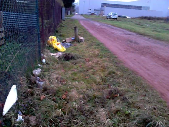 Müll vom Nachbarn (Foto: privat) Müll vom Nachbarn (Foto: privat)