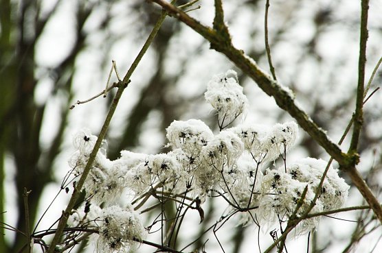 Wetter-Bild (Foto: Gernot Thelemann) Wetter-Bild (Foto: Gernot Thelemann)