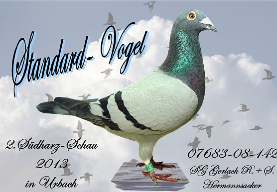 Einladung (Foto: privat) Einladung (Foto: privat)