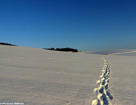 Wetter-Bild (Foto: Gernot Thelemann) Wetter-Bild (Foto: Gernot Thelemann)