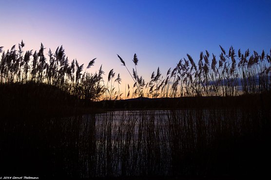 Walkenrieder Teich am Mittwoch Abend (Foto: Gernot Thelemann)