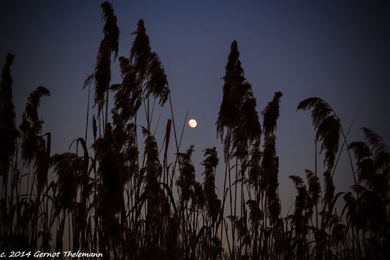 Wetter-Bild (Foto: Gernot Thelemann) Wetter-Bild (Foto: Gernot Thelemann)