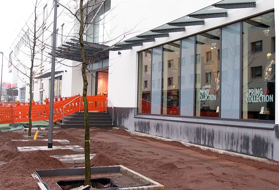 Buampflanzung (Foto: I. Bergmann|Stadtverwaltung Nordhausen) Buampflanzung (Foto: I. Bergmann|Stadtverwaltung Nordhausen)