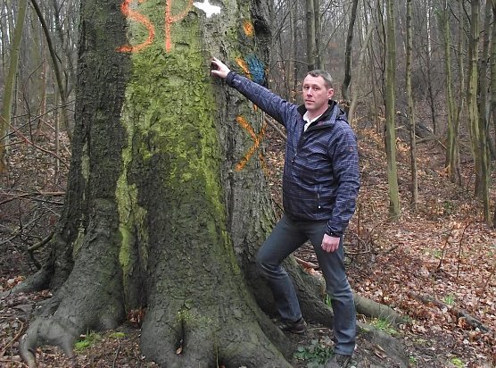 Axel Axt (Foto: Kurt Frank)