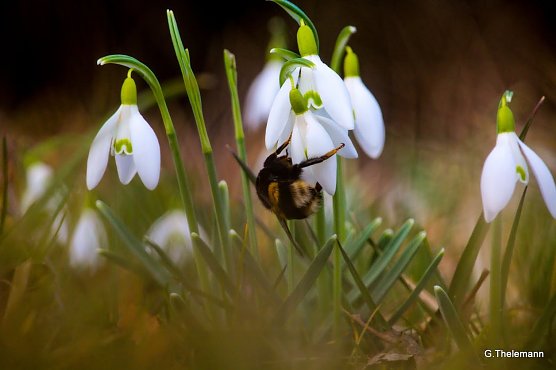 Wetter-Bild (Foto: Gernot Thelemann) Wetter-Bild (Foto: Gernot Thelemann)