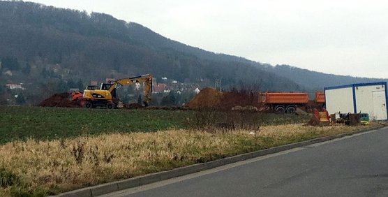 Es wird "gebuddelt" (Foto: M. Randel)