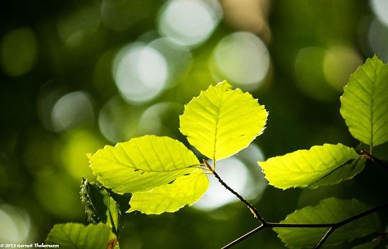 Wetter-Bild (Foto: Gernot Thelemann) Wetter-Bild (Foto: Gernot Thelemann)