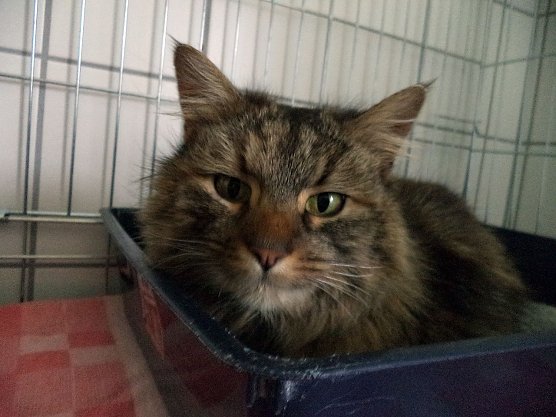 Findelkind (Foto: C. Knust) Findelkind (Foto: C. Knust)