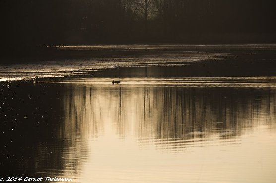 Wetter-Bild (Foto: Gernot Thelemann)