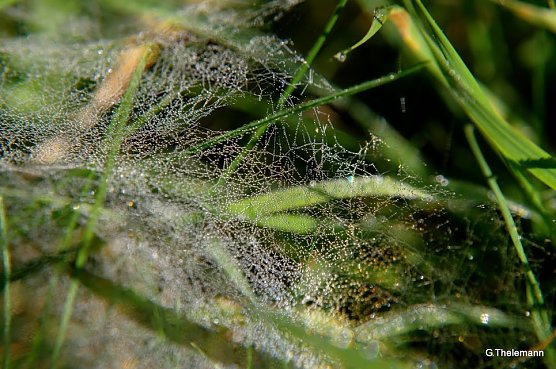 Wetter-Bild (Foto: Gernot Thelemann)