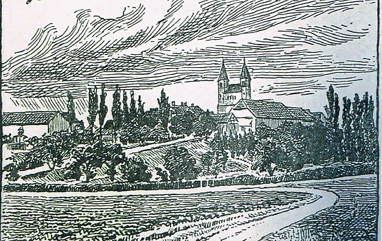 M&uuml;nchenlohra (Foto: Archiv Kneffel)